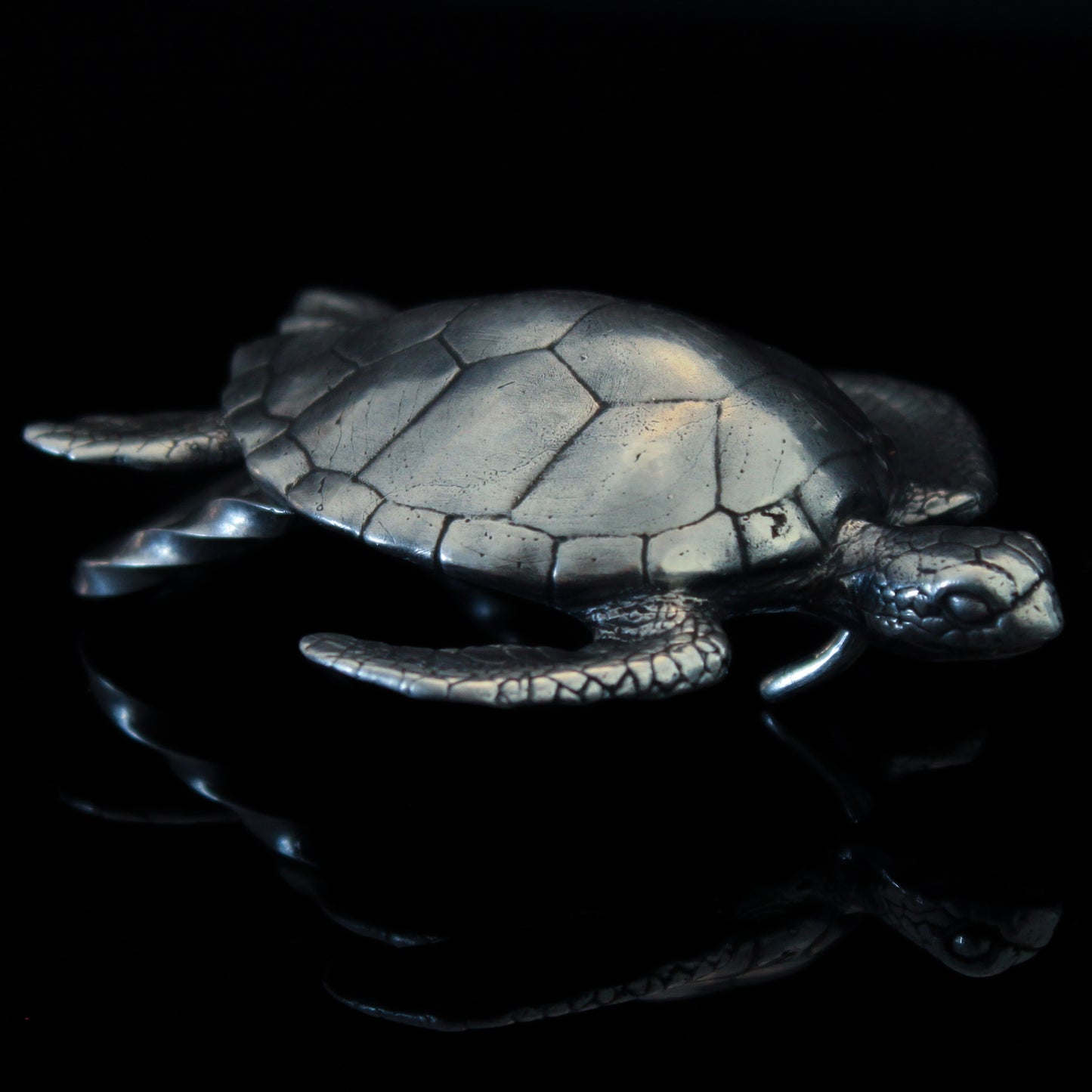 Silver Sea Turtle Buckle