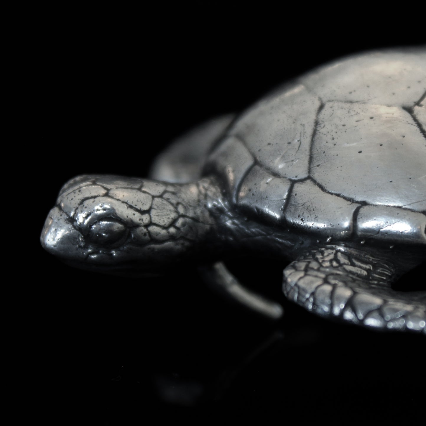 Silver Sea Turtle Buckle